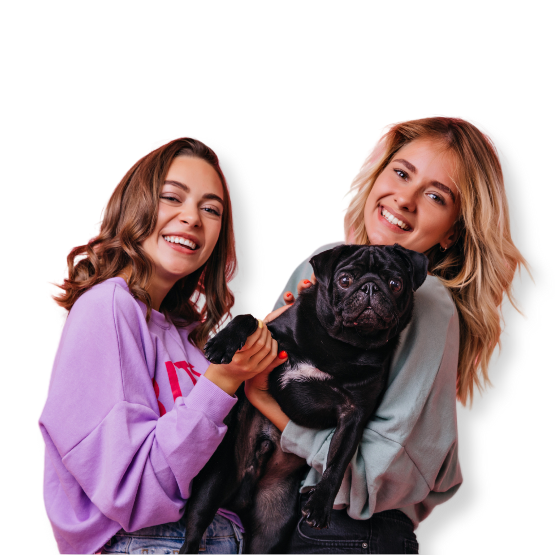 Heart-N-Paws-Homepage-1 Pet Love