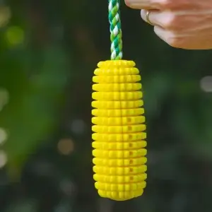 Corn Dog Chew toy