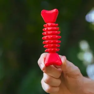 Dog Chewing toy
