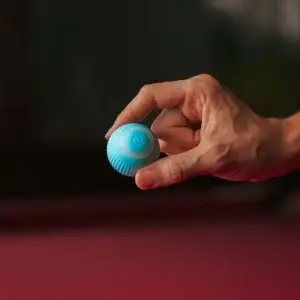 Interactive Cat ball Toys
