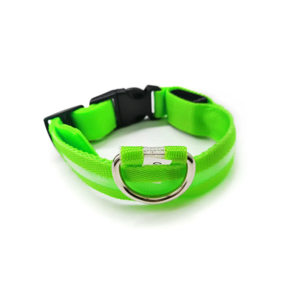 Rechargeable LED dog collar.
