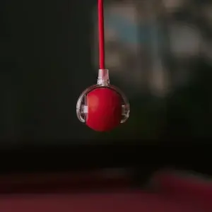 Motion Activated Rolling Pet Toy