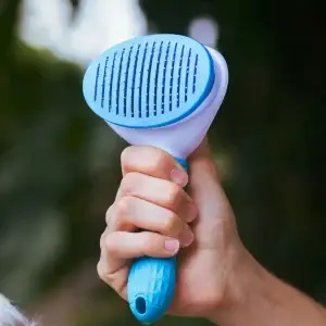 Pet brush (autoclean)