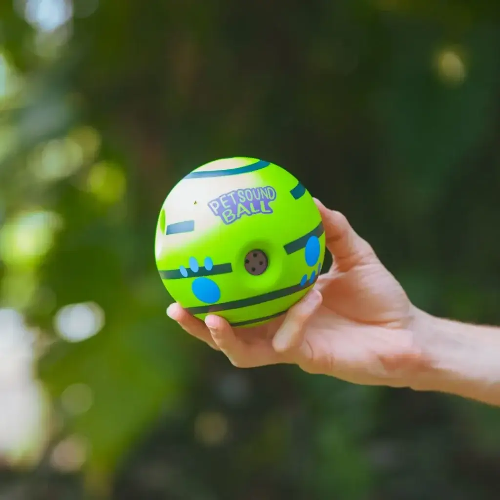 Interactive dog ball toy rolling on the floor