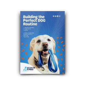 Building the Perfect DOG Routine