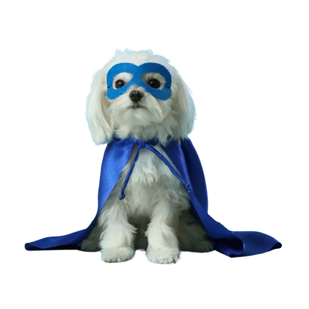 Review the terms and conditions of Heart N Paws