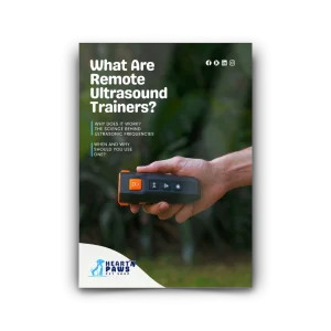 What Are Remote Ultrasound Trainers?