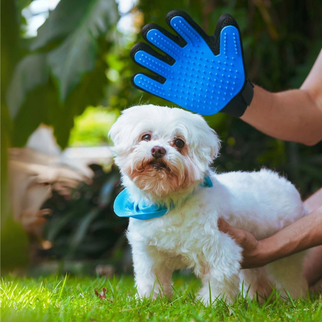silicone pet grooming glove for fur removal